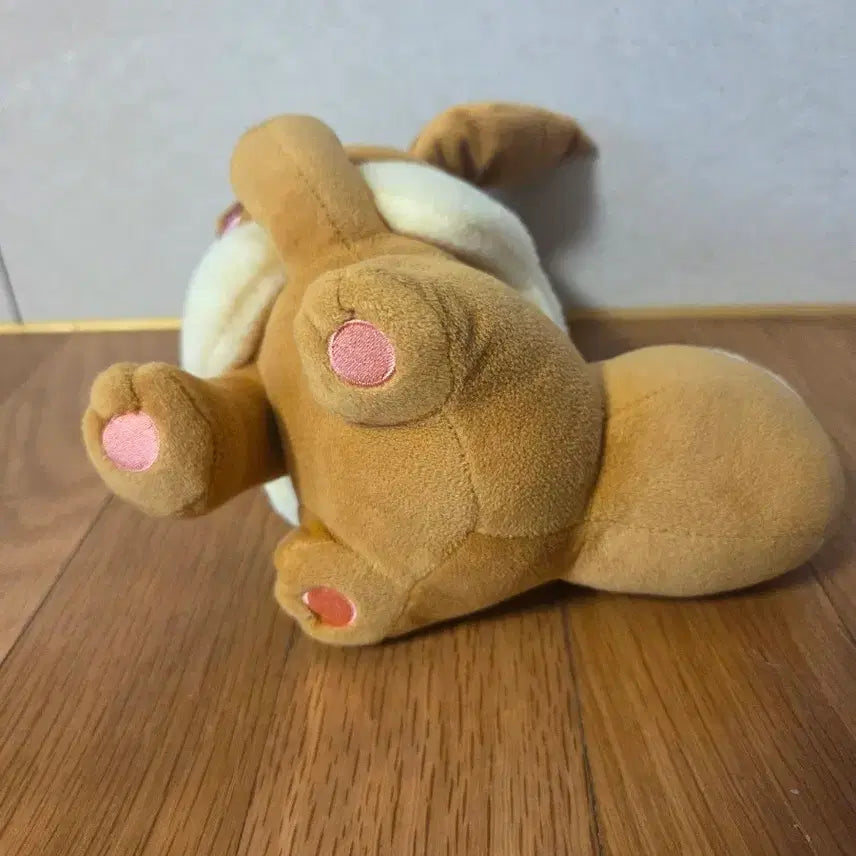 [BUNJANG] Pokemon All Together Mazayong Eevee Plush / 포켓몬 모두함께 마자용 이브이 인형
