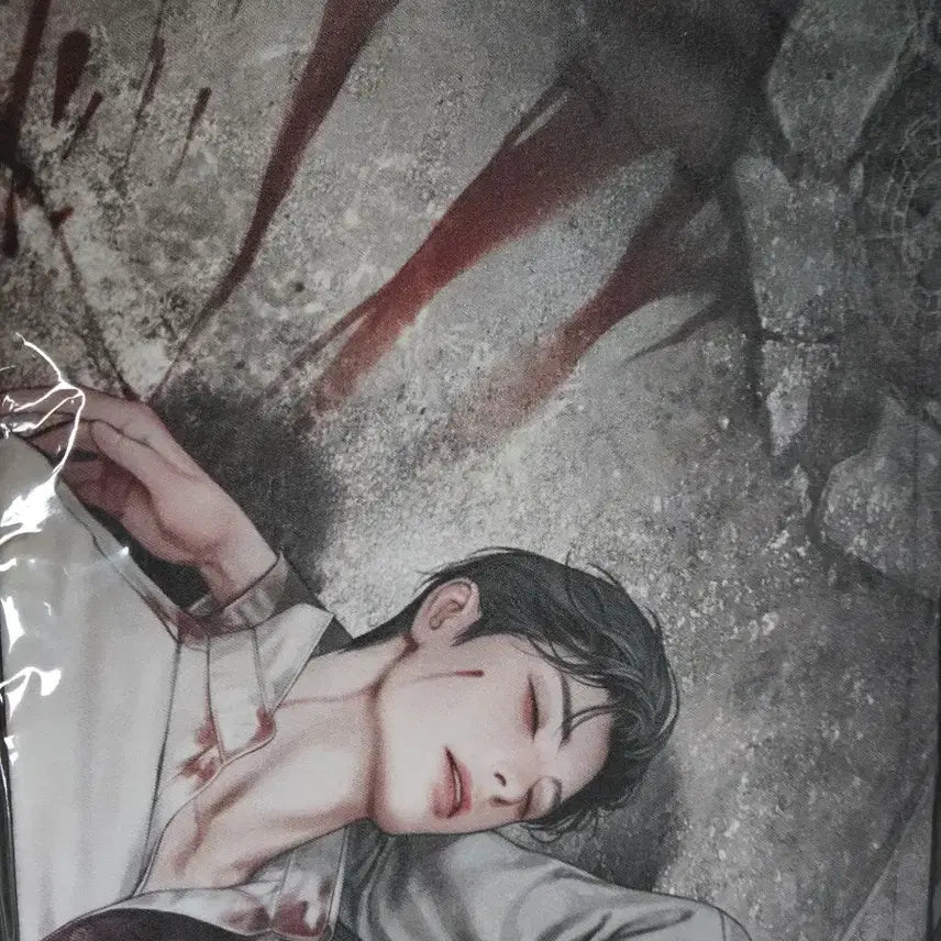 [BUNJANG] Audio Comics Illustrator Suede Poster L-Holder Healer / 오디오코믹스 일러스트 스웨이드 포스터 L홀더 힐러