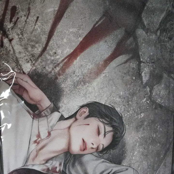 [BUNJANG] Audio Comics Illustrator Suede Poster L-Holder Healer / 오디오코믹스 일러스트 스웨이드 포스터 L홀더 힐러