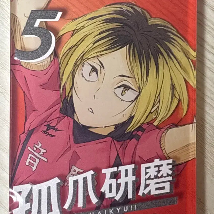 [BUNJANG] Haikyuu!! Kenma Kozume Acrylic Standee / 켄마 아크릴 판매합니다!