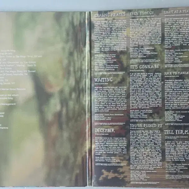 [BUNJANG] Norah Jones The Fall LP (2009) Opened / Norah Jones - The Fall LP (  2009년, 단순개봉)