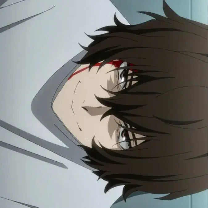 [BUNJANG] Dazai Osamu Pashakore / 다자이 파샤