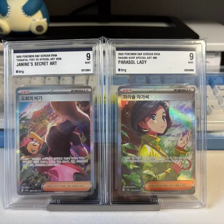 [BUNJANG] Pokemon Trainer Cards Bundle / 포켓몬 카드 트레이너 brg등급 카드 일괄 팔아용