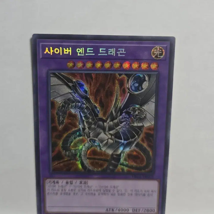 [BUNJANG] Yu-Gi-Oh! Cyber End Dragon Holographic Rare Card / [홀로그래픽 레어] 유희왕 사이버 엔드 드래곤 낱장 판매