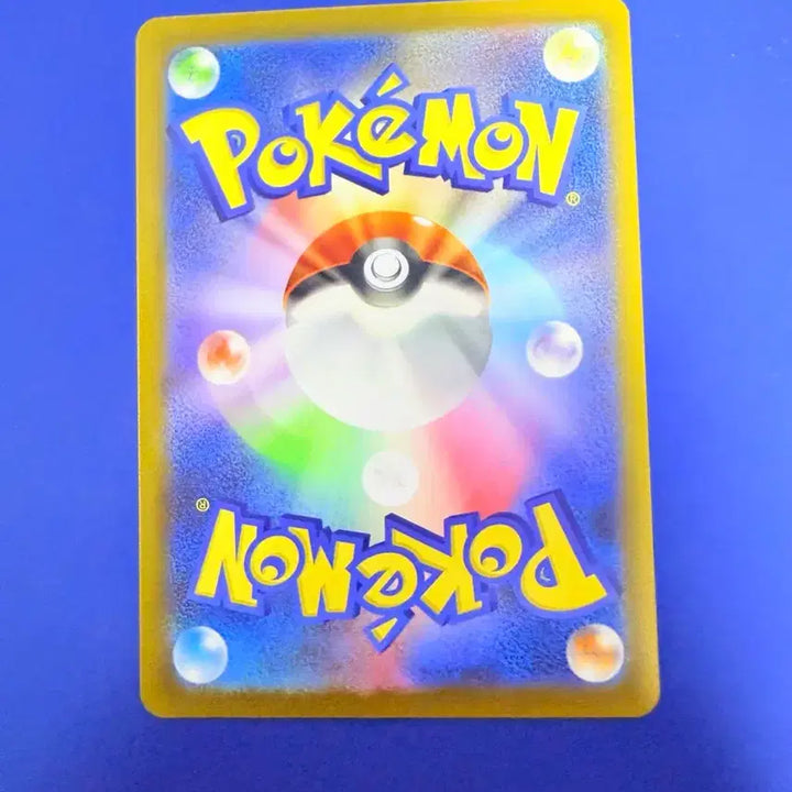 [BUNJANG] Pokemon Card Dakalving Korean Version Card / 포켓몬카드 단칼빙 일판 카드