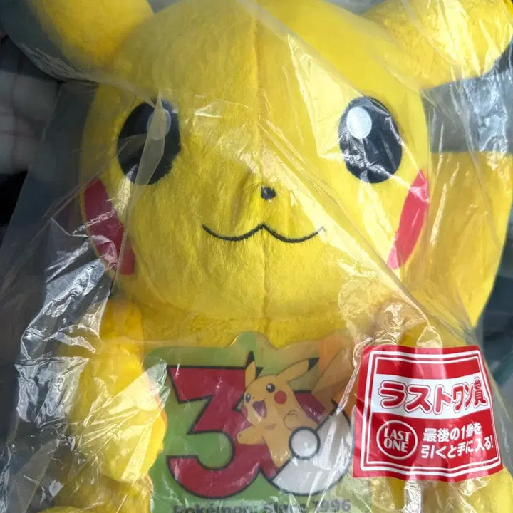 [BUNJANG] Pokemon 30th Anniversary Ichiban Kuji Last One Pikachu Plush / (서비스O) 포켓몬스터 30주년 이치방쿠지 제일복권 라스트원 피카츄 인형