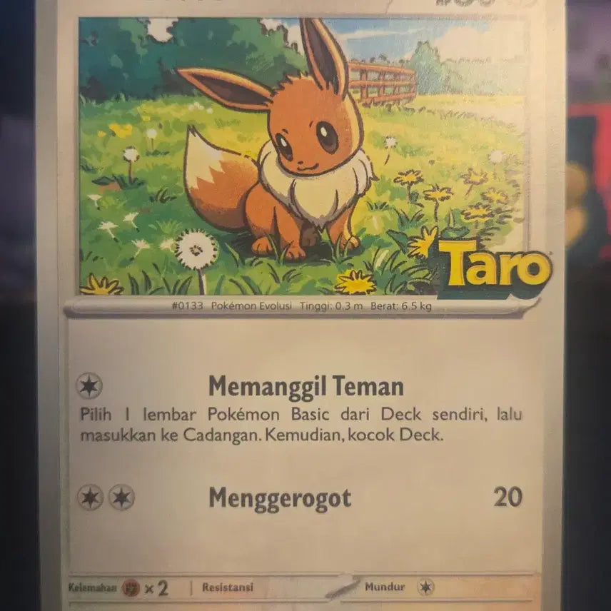 [BUNJANG] Taro Indonesia Promo Eevee &amp; Snorlax Set / 인도네시아 TARO 프로모 이브이 + 잠만보 세트