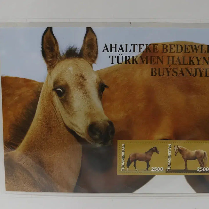 [BUNJANG] Turkmenistan Postage Stamps No. 93 / [외국 우표 NO.93] 투르크메니스탄 우표