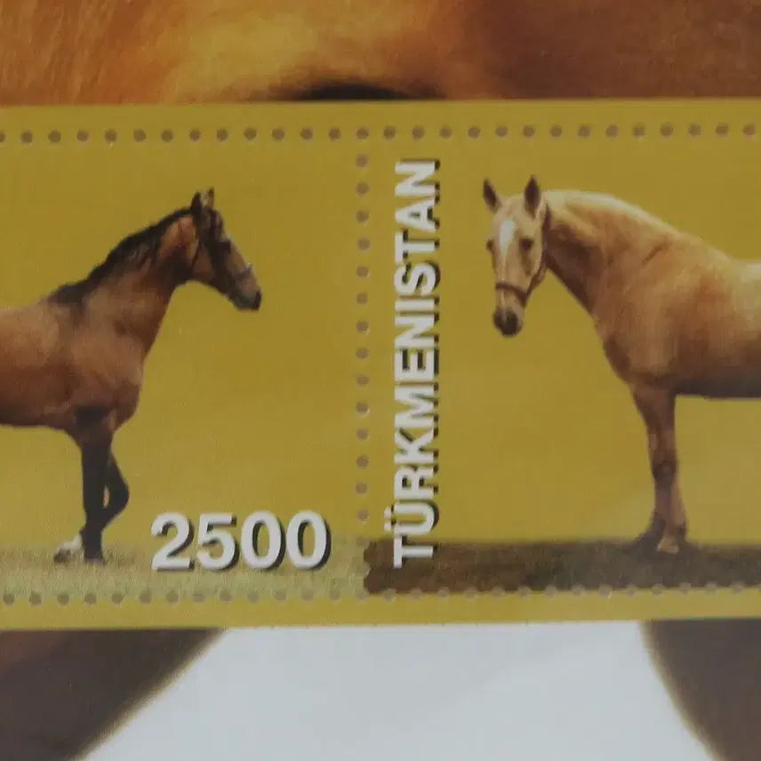 [BUNJANG] Turkmenistan Postage Stamps No. 93 / [외국 우표 NO.93] 투르크메니스탄 우표