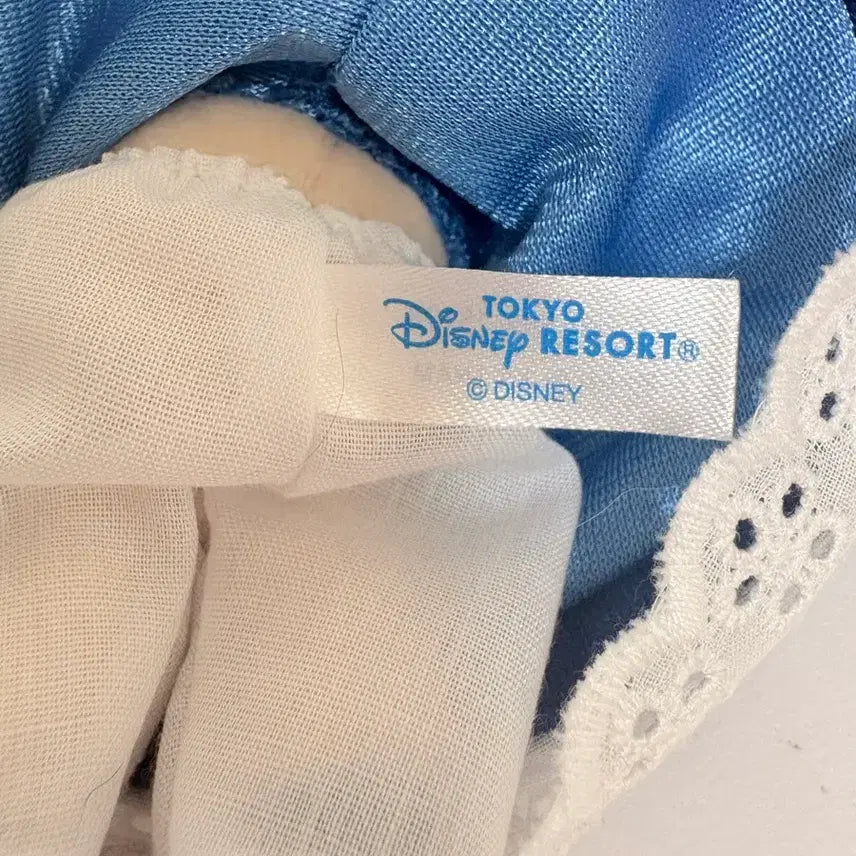 [BUNJANG] Disney Tokyo Disneyland Elsa Anna Doll Keychain Set / 도쿄 디즈니랜드 정품 엘사안나인형키링