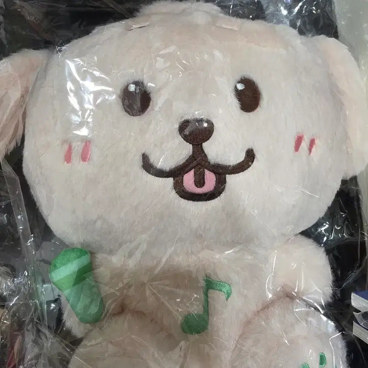 [BUNJANG] NCT WISH Jaehee 30cm Doll / nct wish 30cm 위시돌 재희 인형 새상품 양도해요
