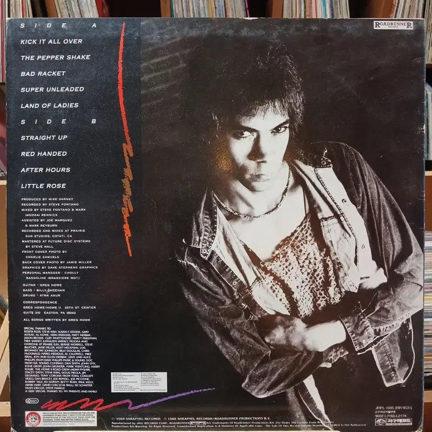 [BUNJANG] Greg Howe Rock, Blues, and Jazz Guitarist LP Record / 록과 블루스 재즈 까지 기타리스트 그렉 하우 LP