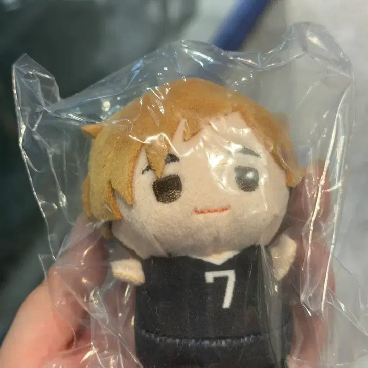 [BUNJANG] Haikyuu!! Plush Set (Oikawa, Iwaizumi, Miya Atsumu) / 하이큐 인형 3종 일괄 (오이카와, 이와이즈미, 미야 아츠무)