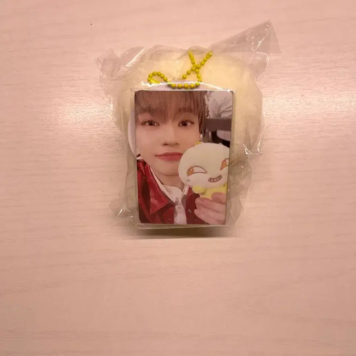[BUNJANG] NCT DREAM Chenle &