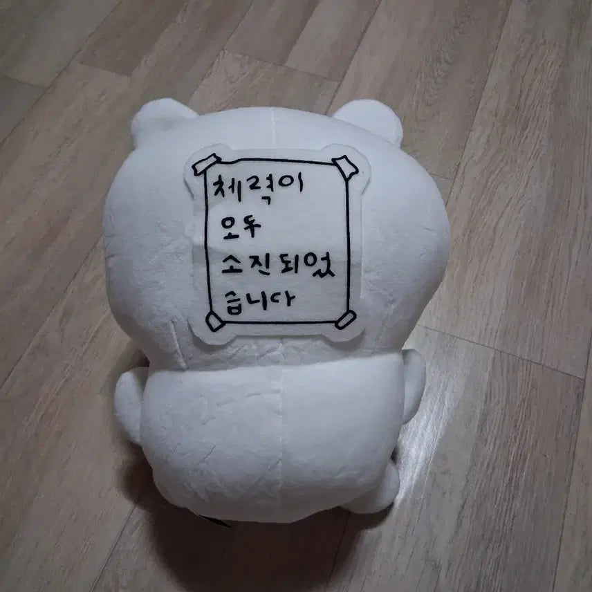 [BUNJANG] Ganadi "Nunnunnyangyi" Plush Toy / 가나디 눈멍냥이 봉제인형(무료배송)