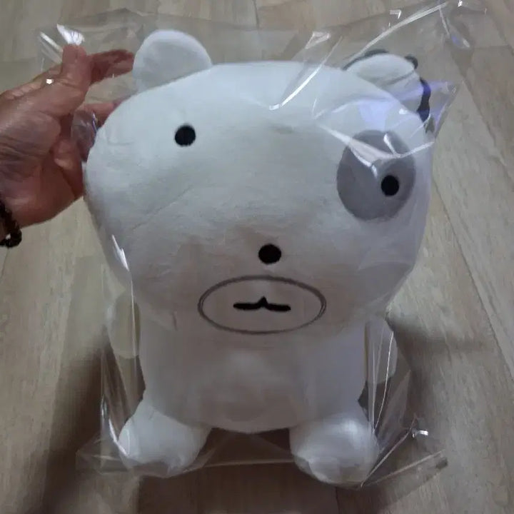 [BUNJANG] Ganadi "Nunnunnyangyi" Plush Toy / 가나디 눈멍냥이 봉제인형(무료배송)