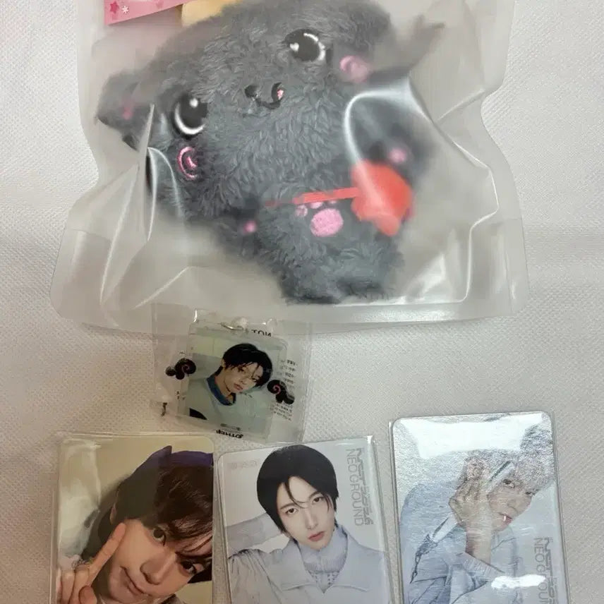 [BUNJANG] NCT WISH Original Wishdoll Kuri &amp; Riku Photocard Bundle Set / 엔시티 위시 오리지널 위시돌 쿠리 리쿠 위시돌 네오그라운드 트레카 원가양도