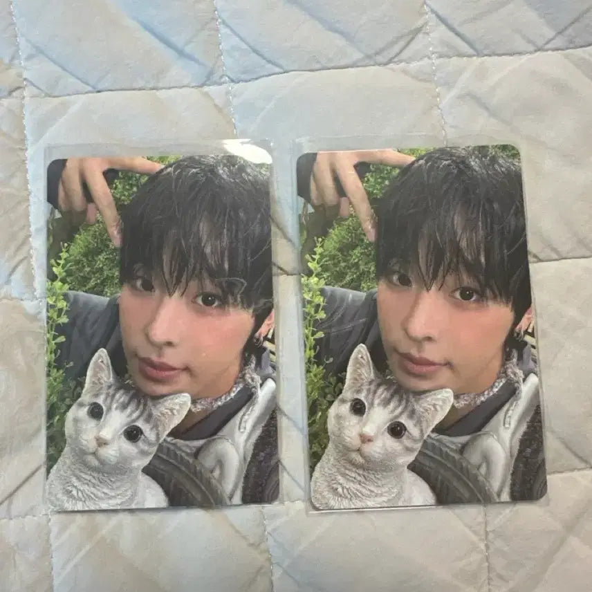 [BUNJANG] NCT WISH Riku Color Jewel Photocard / 엔시티위시 리쿠 컬러 쥬얼 개인반 포카