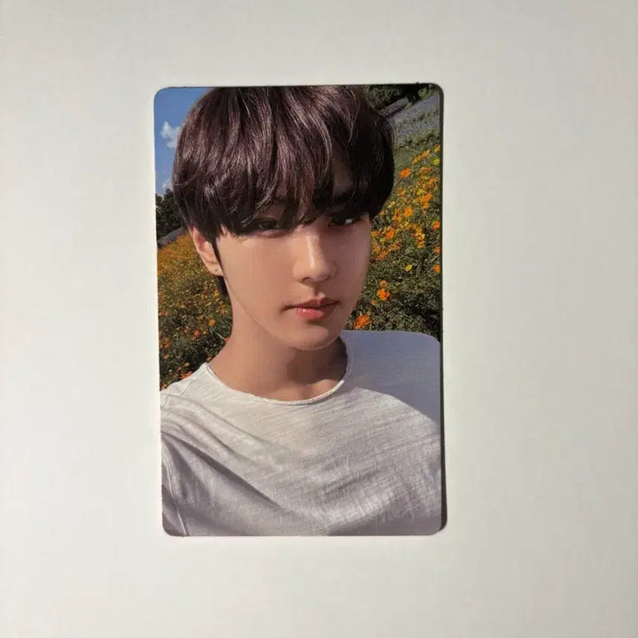 [BUNJANG] ENHYPEN Jungwon Orange Blood Weverse Album Photocard Bundle Set / 엔하이픈 정원 오렌지블러드 위버스 앨범 포카 2장 일괄