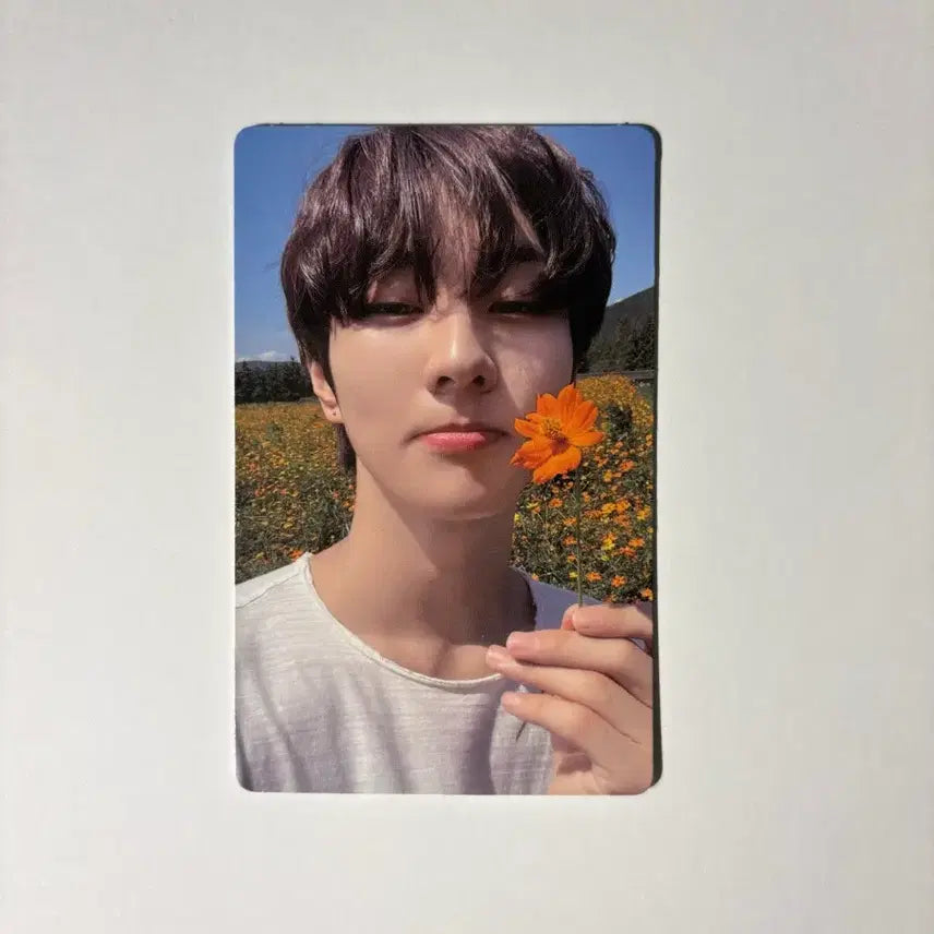 [BUNJANG] ENHYPEN Jungwon Orange Blood Weverse Album Photocard Bundle Set / 엔하이픈 정원 오렌지블러드 위버스 앨범 포카 2장 일괄