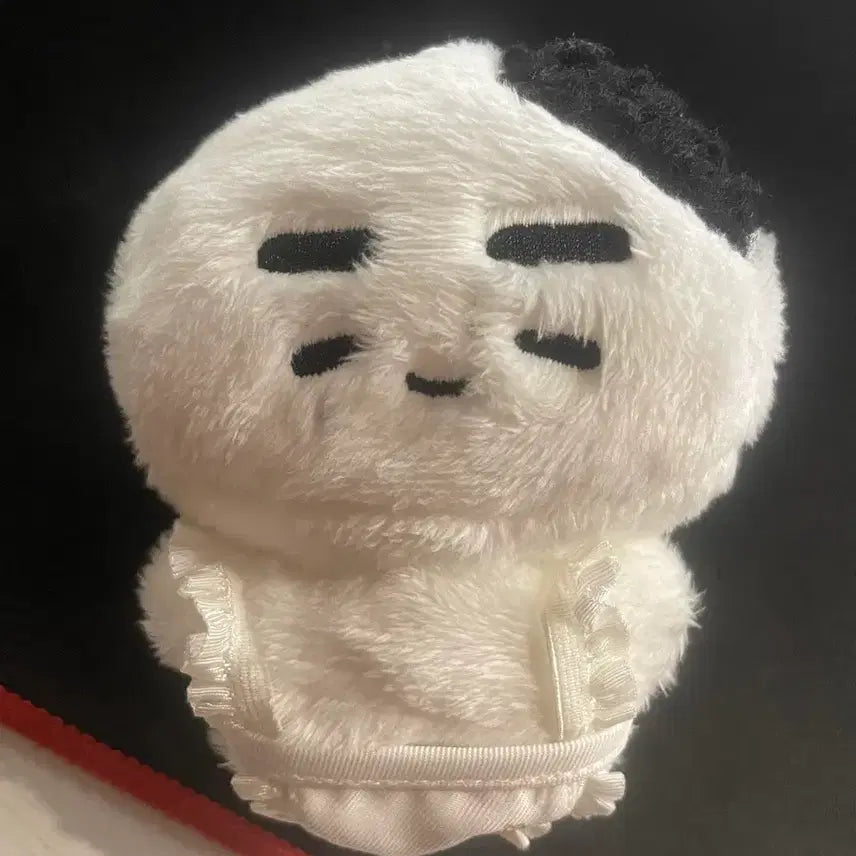 [BUNJANG] ENHYPEN Sunghoon Hoodigiri Doll / 엔하이픈 성훈 인형 후니기리 양도