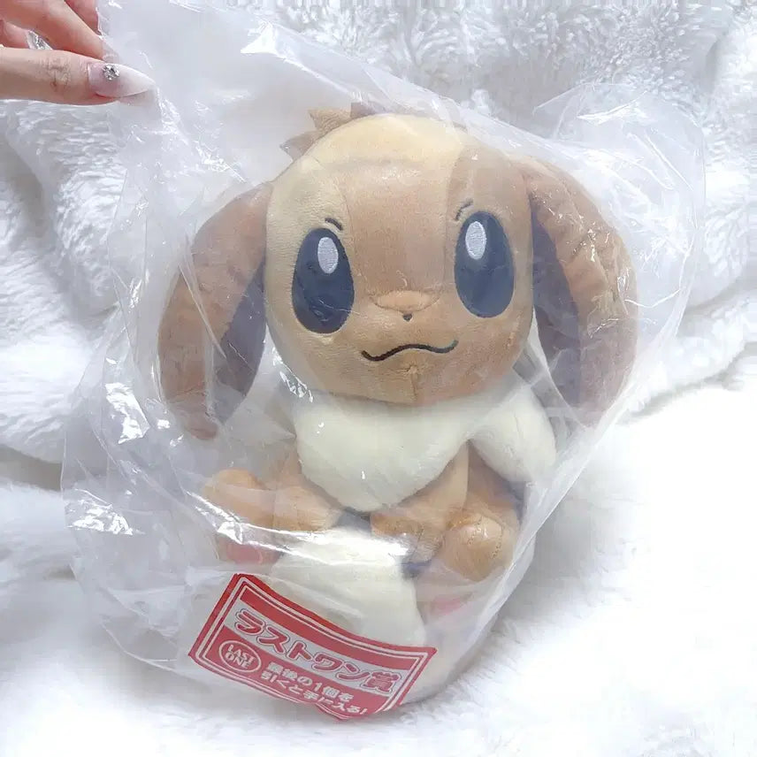 [BUNJANG] Pokémon Ichiban Kuji Last One Prize Eevee / 포켓몬 이치방쿠지 라스트원상 이브이