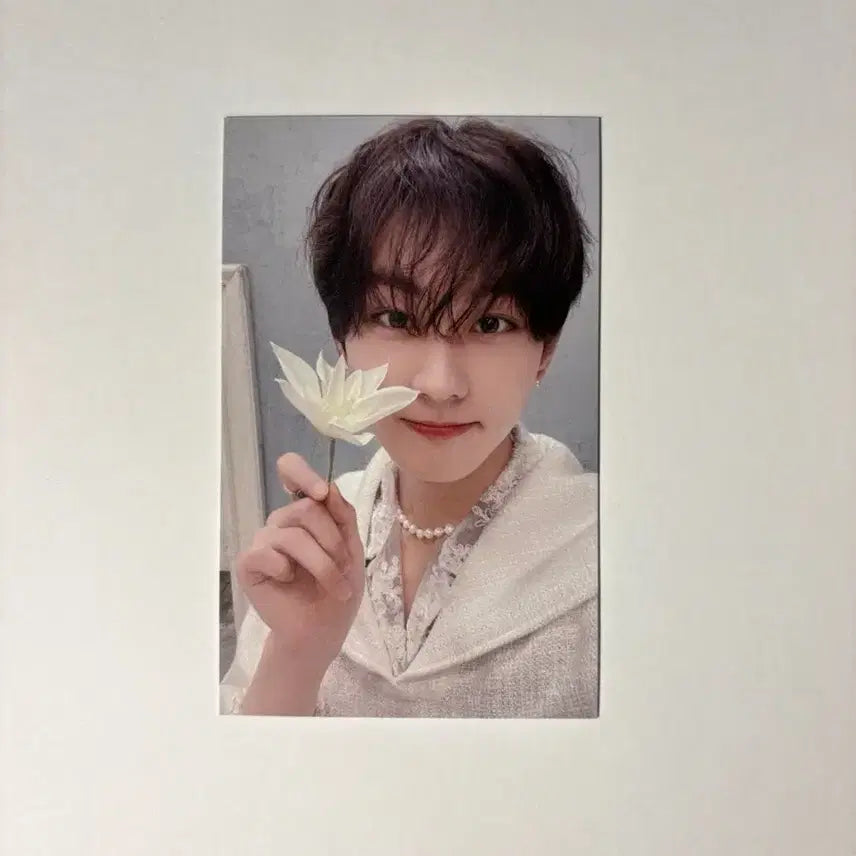 [BUNJANG] ENHYPEN Jungwon Orange Blood Universal Lucky Draw Photocard / 엔하이픈 정원 오렌지 블러드 유니버셜 럭키드로우 포카
