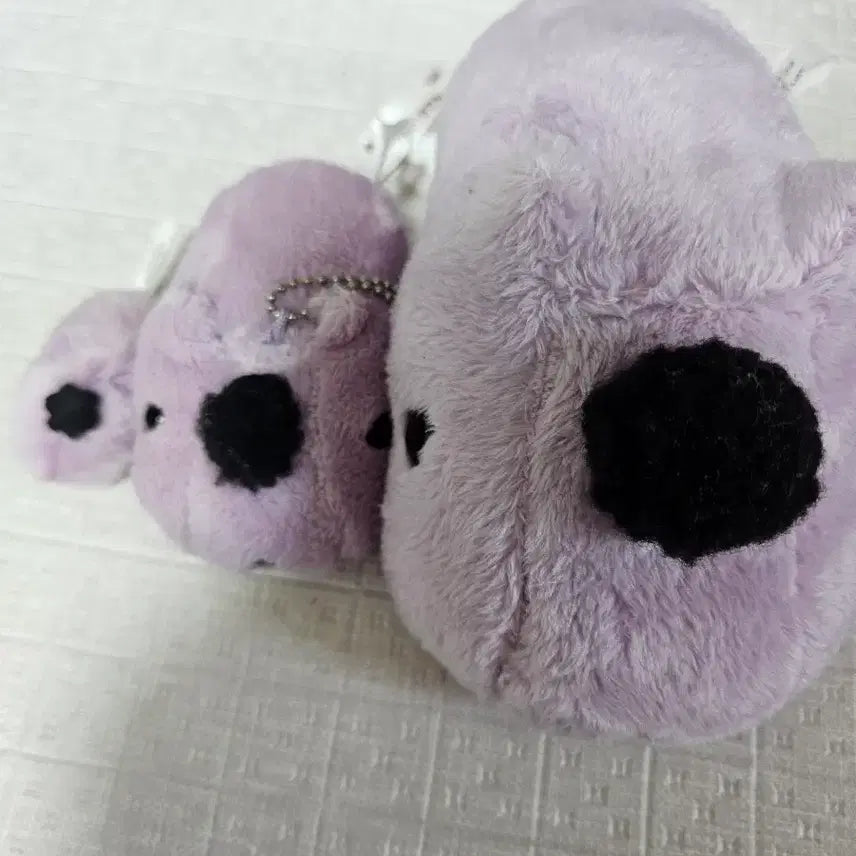 [BUNJANG] Capybara Regent Bundle Set / 카피바라상 리젠트 일괄