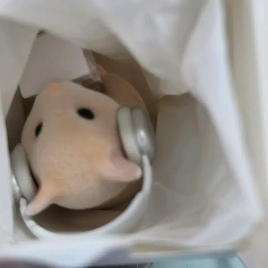 [BUNJANG] Kim Haemjji Briefcase Bomb Figure (Wearing Headphones) / 김햄찌 서류 폭탄 피규어 ( 헤드폰 착용) 단순확인 미사용