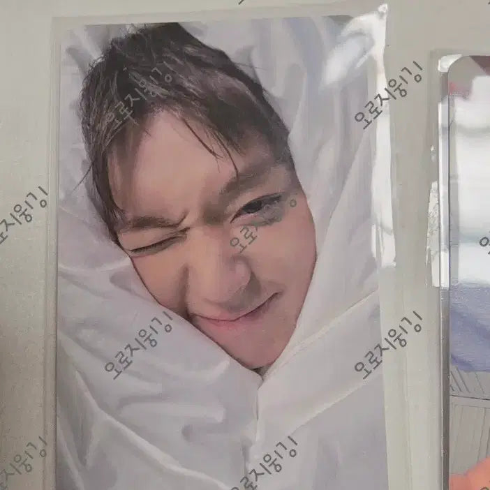 [BUNJANG] Park Jihoon FORMENT Photocard 4 Types Bundle Set / 박지훈 포맨트 포토카드 4종 일괄