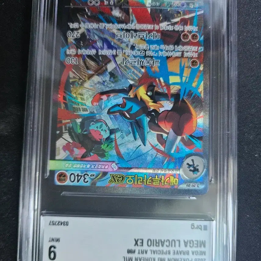 [BUNJANG] 2026 Pokemon Mega Lucario EX Special Art Graded 9 Mint / 2026 포켓몬 메가 루카리오 EX 스페셜 아트 9등급 민트