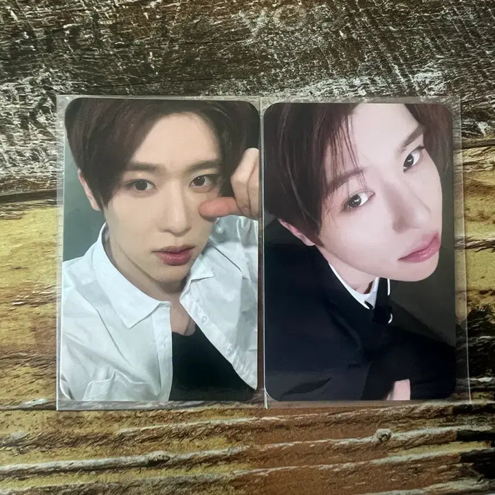 [BUNJANG] NCT WISH YoI Don YoI Dong Boomitgirl Photocard Bundle Set Sion / 일괄) 엔시티위시 요이돈 요이동 보밋걸 포카 양도 시온