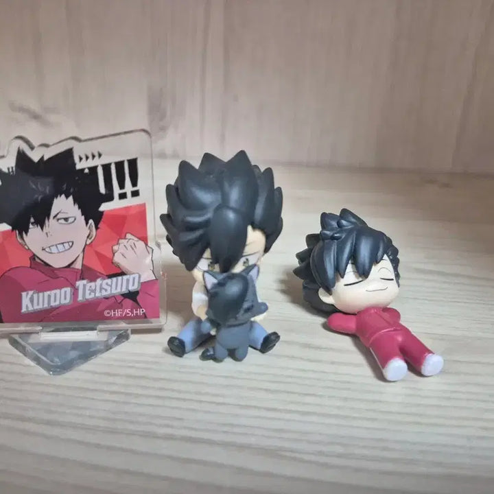 [BUNJANG] Haikyuu!! Tetsuro Kuroo Mini Acrylic Stand &amp; Gacha Bundle / 하이큐 쿠로오 미니아크릴스탠드 + 가챠 3개 일괄