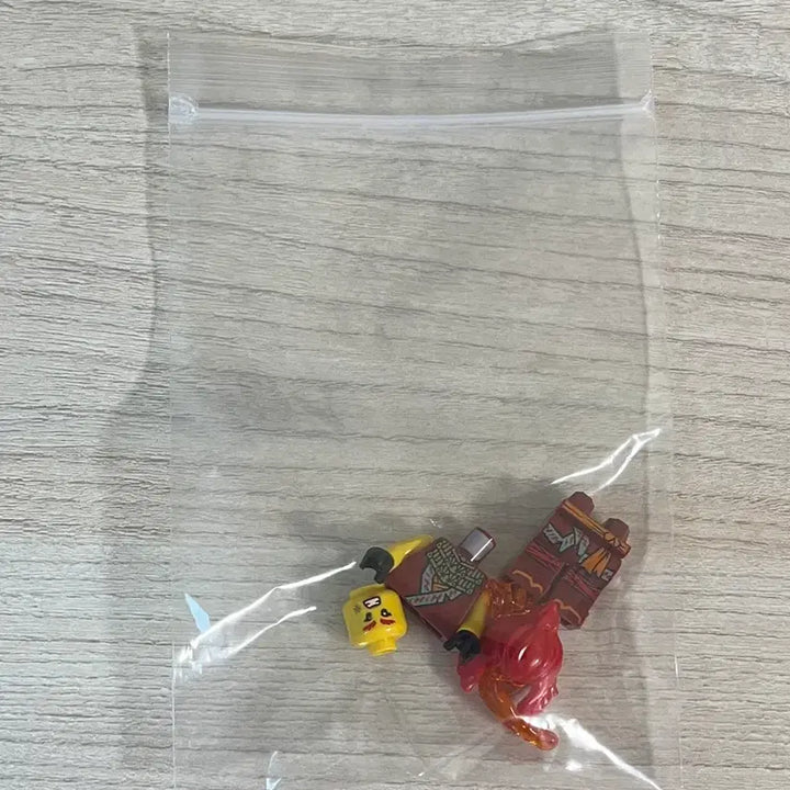 [BUNJANG] Lego Ninjago Dragon Rising Wildfire Figure / 레고 닌자고 드래곤라이징 와일드파이어 피규어