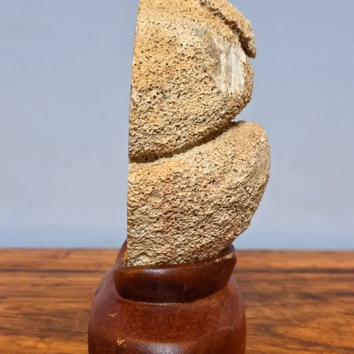 [BUNJANG] Brazilian Agate Mineral Specimen with Positive Energy / 26073045 좋은 에너지를 주는 영롱한 브라질 마노석 광물 수석 팝니다