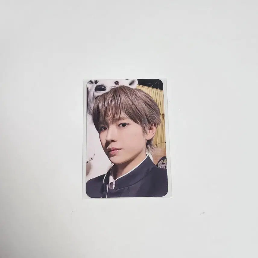 [BUNJANG] NCT WISH Yo! Don Youshi Photocard / nct wish 엔시티위시 요이돈 무모샵 유우시 포카 양도