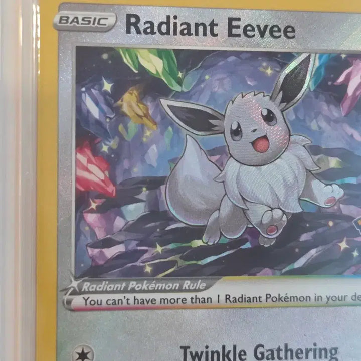 [BUNJANG] Pokemon GO 2022 Shiny Eevee Promo Card (North American/English) / [영문/북미] 2022 포켓몬고 프리미엄 찬란한 이브이 이로치 프로모 카드