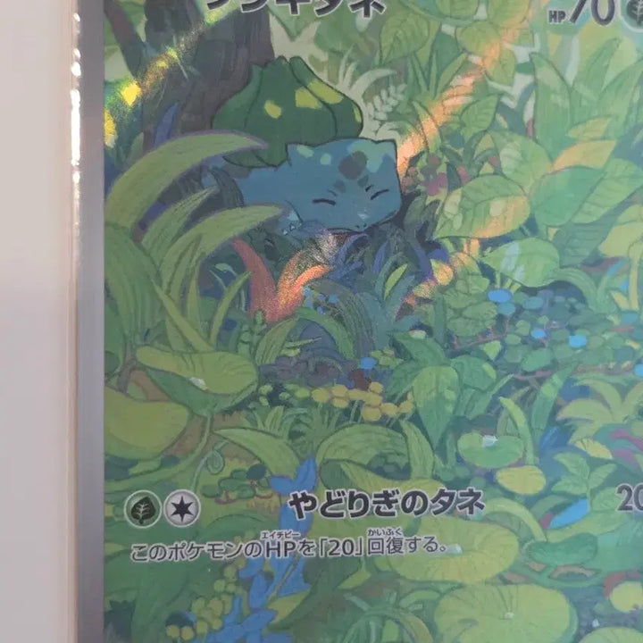 [BUNJANG] Pokemon Card 151 (sv2a) Bulbasaur AR 166/165 / [일판/A급] 포켓몬 카드 151(sv2a) 이상해씨 AR 166/165