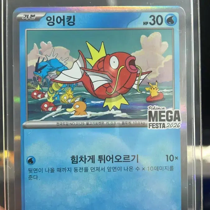 [BUNJANG] Gyarados Promo Photocard (Unsealed) / 잉어킹 프로모(개봉)