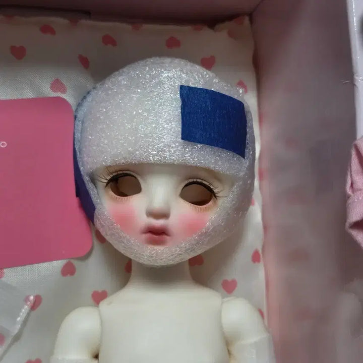 [BUNJANG] Miyadoll USD Chichi White Body + Linashushu Snow Kitten Cream Default Outfit / 미야돌 usd 치치 미백 본체 구체관절인형