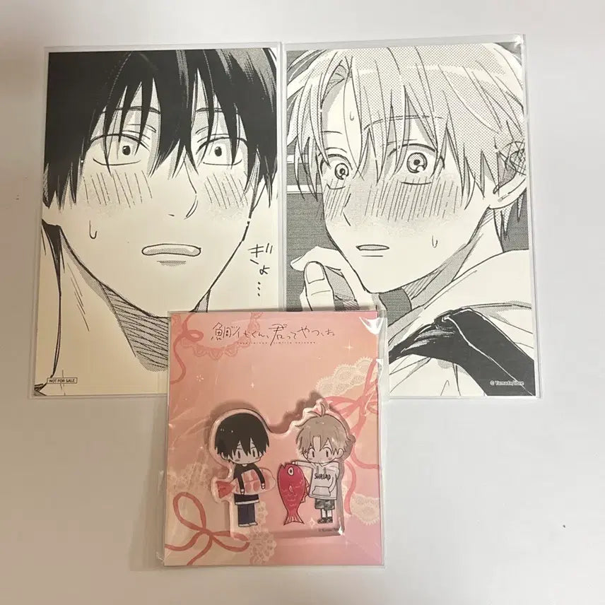 [BUNJANG] Tashiro Ranan Yeoseok Eun Toonique Acrylic Block Bundle Set / 일괄) 타시로 너란 녀석은 투니크 아크릴 블록 미개봉 원가