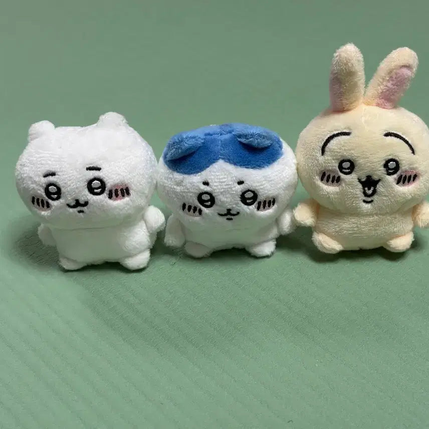 [BUNJANG] Chiikawa Kitanklub Sitting Plush / 치이카와 키탄클럽 앉은누이 팔아요