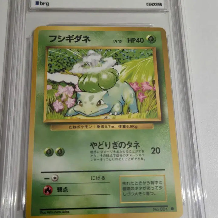 [BUNJANG] Pokemon Japanese Base Set Bulbasaur 1st Edition Old Back 1996 Vintage Graded PSA 8 NM-MT / 포켓몬카드 일판 이상해씨 초판 올드백 1996 빈티지 brg8