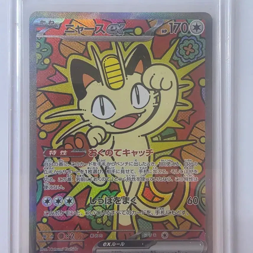 [BUNJANG] Naong Japanese Edition SAR / 나옹 일판 sar
