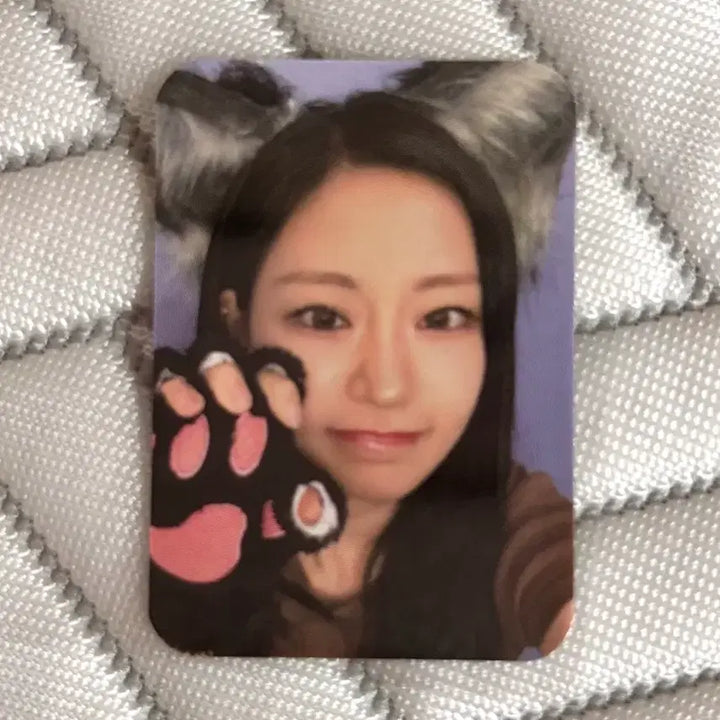 [BUNJANG] Kiss of Life Julie Photocard / 키스오브라이프 키오프 쥴리 미니 포토카드 포카 kissoflife photocard julie