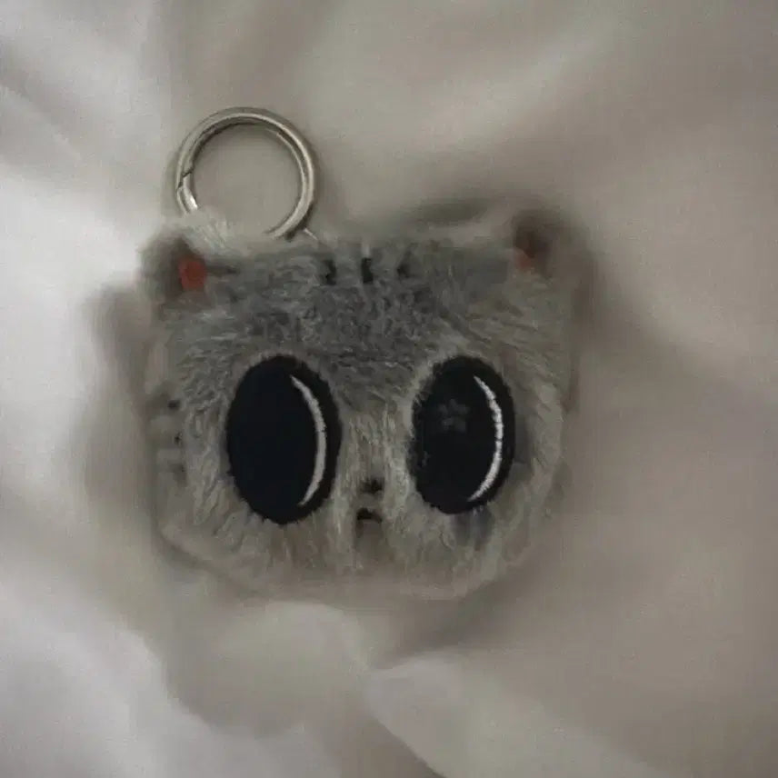 [BUNJANG] TXT Dgonyan Face Keyring / [급처] 뿔바투 다고냥 페이스 키링 판매