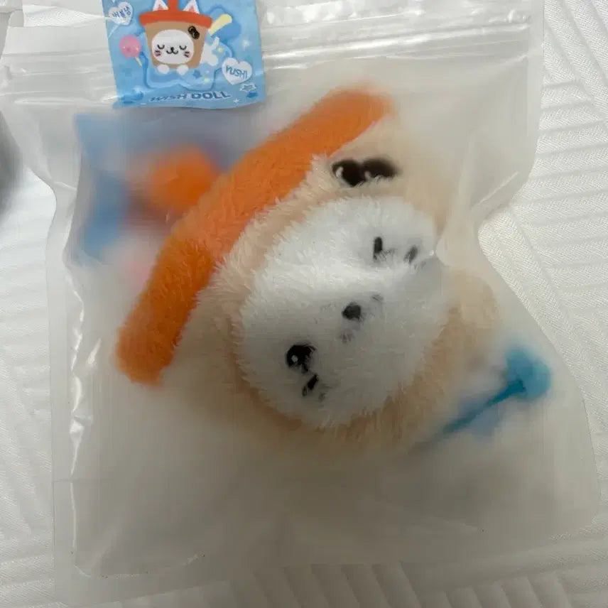 [BUNJANG] NCT WISH Yushi Original Wish Doll Bubble Cat Plush / 엔시티위시 유우시 오리지널 위시돌 버블냥 판매