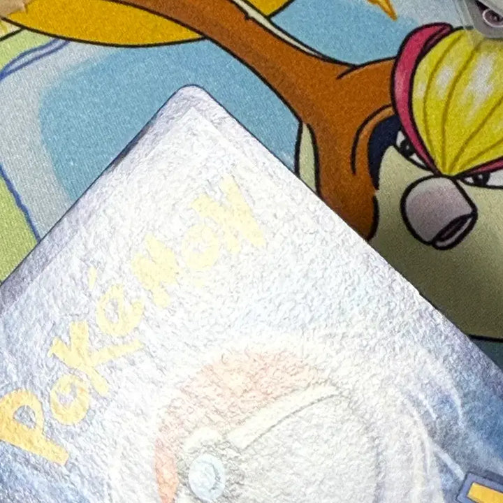 [BUNJANG] Pokemon Card Sleeves / 포켓몬카드 슬리프 AR