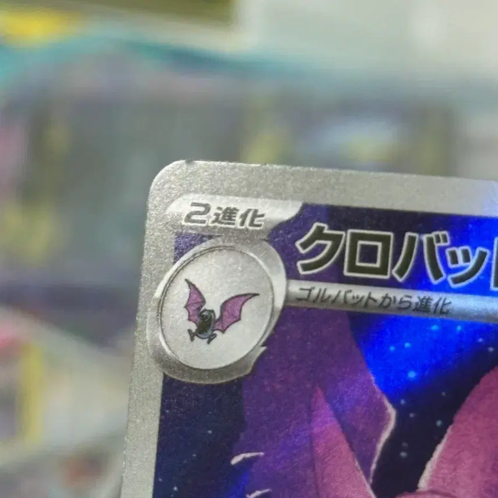 [BUNJANG] Pokemon Card Crobat Japanese AR / 포켓몬 카드 크로뱃 일판 AR