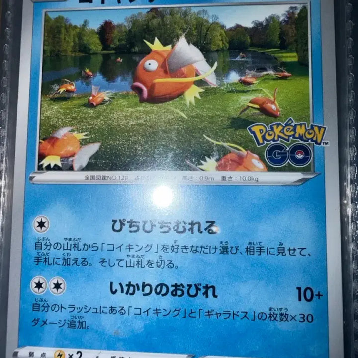 [BUNJANG] Pokemon Go Magikarp Trading Card (Japanese) / 일판 잉어킹 포켓몬고 포켓몬카드